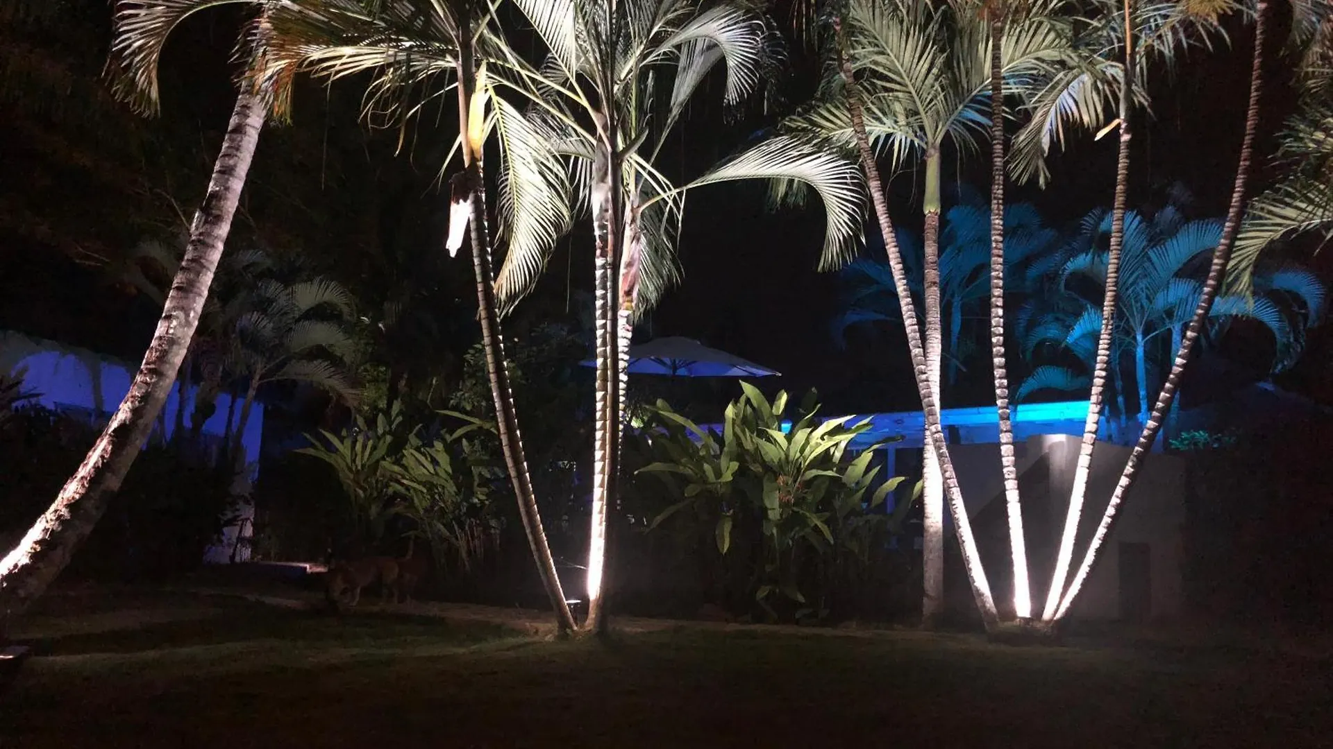 Affittacamere Hotel Casa Barbara Las Terrenas